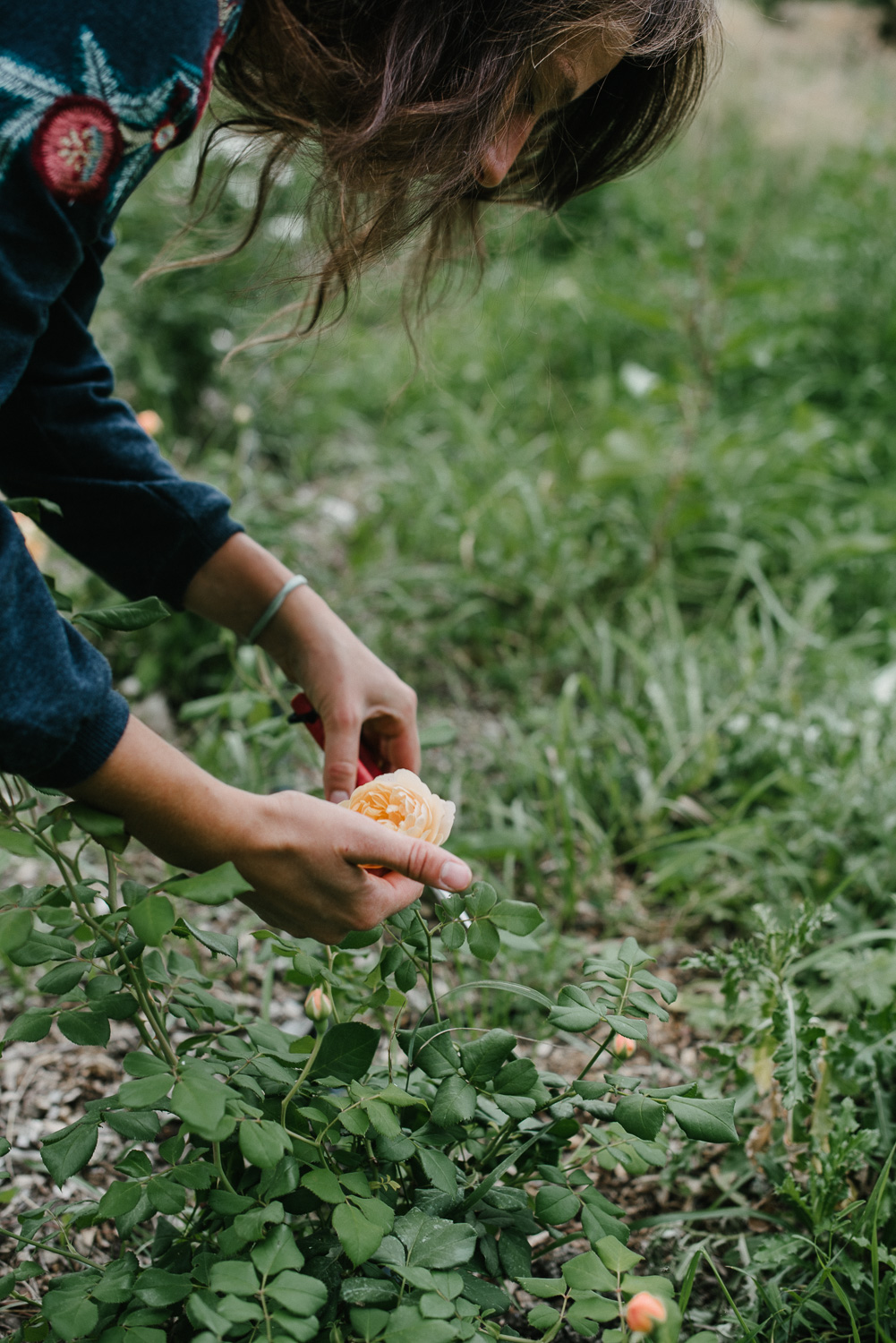 personal branding erna primula